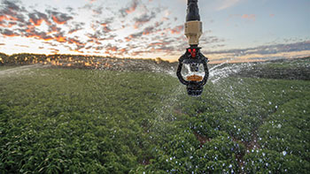 Senninger® i-Wob®2 Part-Circle sprinkler applying a gentle, uniform spray over a crop under a center pivot, demonstrating targeted coverage and reduced wheel track wetting.