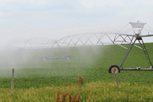 Nebulización en el campo