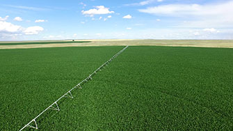 Pivot with Senninger sprinklers over corn