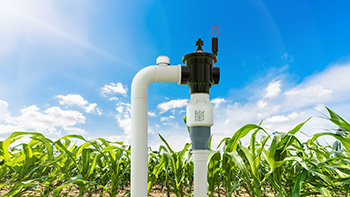 Primer plano de una válvula limitadora Senninger® PRU-LV instalada en un sistema de riego de campo, con plantas de maíz sanas y un cielo azul brillante de fondo.