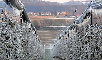 Xcel-Wobbler sprinkler on a frost protection system in Austria