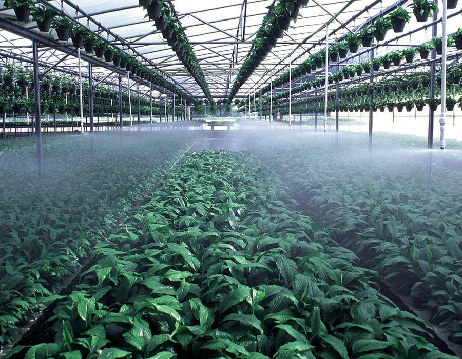 T-Spray | irrigation product | Senninger