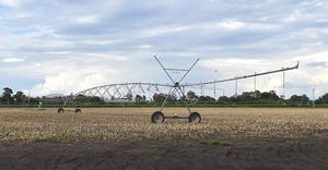 i-Wob2 – corn – Australia