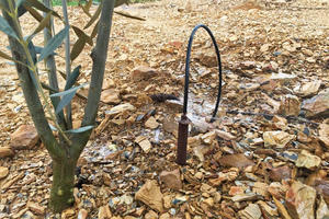 Senninger Spray Stakes over olive trees