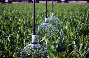 LEPA Bubbler – corn – Kansas, USA