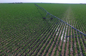 LEPA Bubbler – corn – Kansas, USA