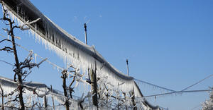 Xcel-Wobbler – Frost Protection – apple orchards – Austria