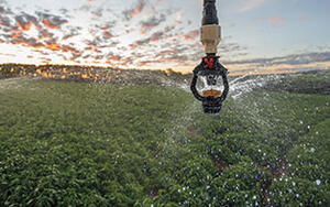 مرش ري Senninger® i-Wob®2 ذو الدائرة الجزئية يقوم برش الماء بلطف وبشكل متساوٍ على المحصول تحت نظام الري المحوري، مما يدل على التغطية المستهدفة وتقليل تبليل مسارات عجلات نظام الري.