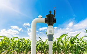 Primer plano de una válvula limitadora Senninger® PRU-LV instalada en un sistema de riego de campo, con plantas de maíz sanas y un cielo azul brillante de fondo.