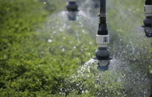 Irrigation à espacement rapproché