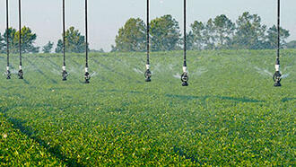 Center pivot irrigation system equipped with Senninger® i-Wob®2 sprinklers watering a healthy peanut crop, illustrating uniform water distribution and efficient low-pressure irrigation.