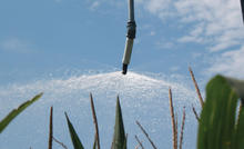 End Spray
