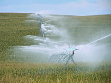 Pivot Master Impact Sprinklers