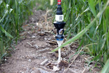 LDN LEPA Bubbler - Corn