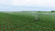 Xcel-Wobbler UP3 TOP - Corn