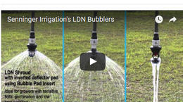 LDN® Bubbler: Model Comparison