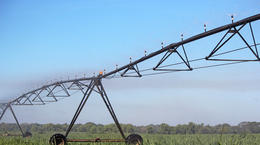 Xcel-Wobbler™ UP3® TOP: Sugarcane Irrigation