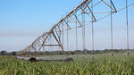 i-Wob® UP3®: Sugarcane Irrigation